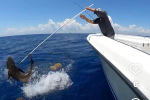 stuart fl fishing 32 20220930