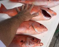 stuart fl fishing 37 20220930