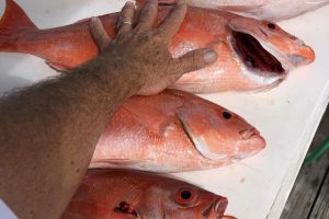 stuart fl fishing 37 20220930