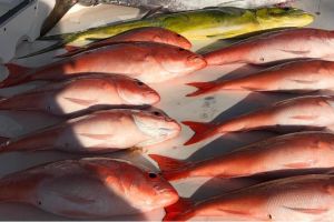 stuart fl fishing 38 20220930