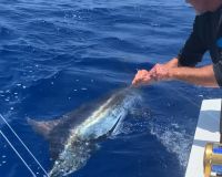 stuart fl fishing 39 20220930