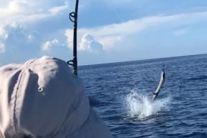 stuart fl fishing 9 20220930